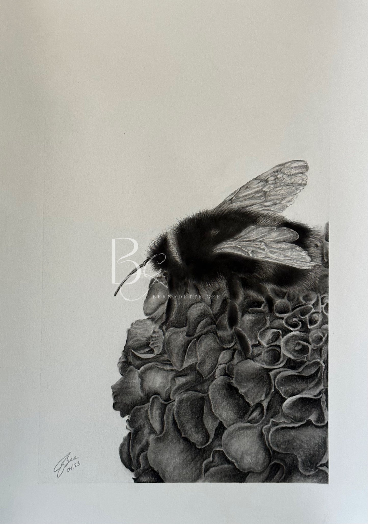 Bumblebee - Original Art