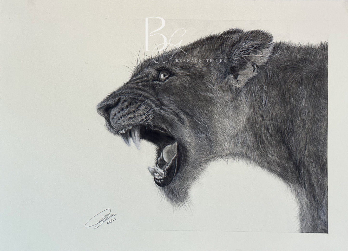 Lioness  - Original Art