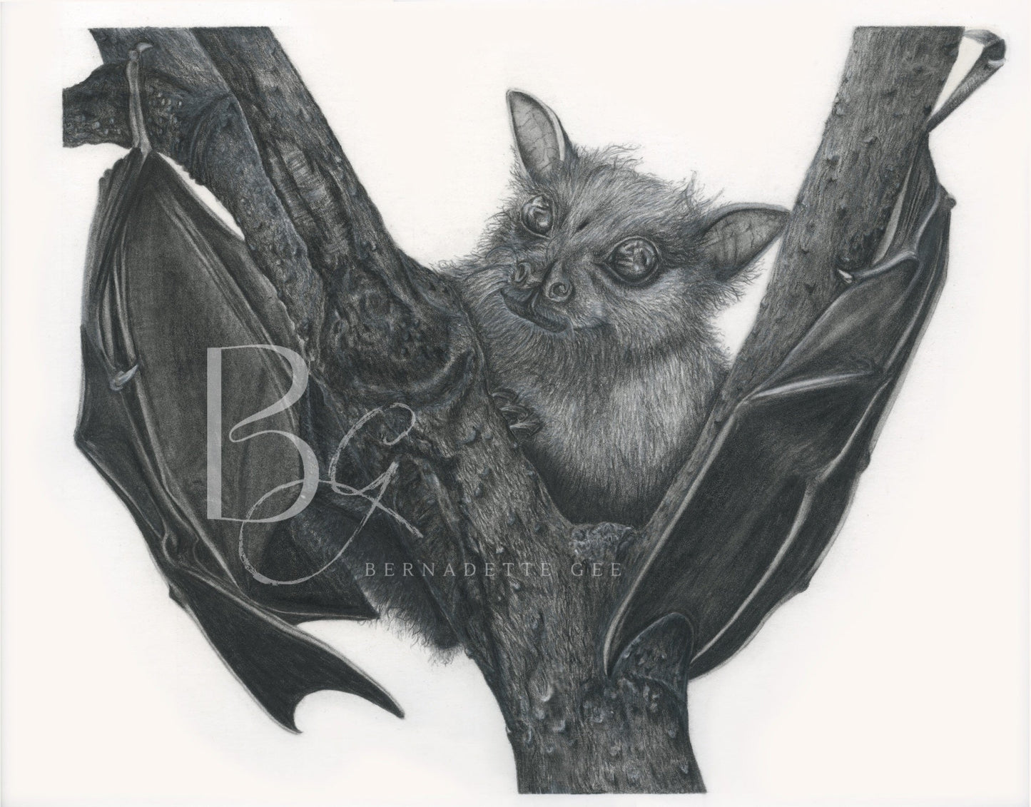 Fruit Bat - Original Art